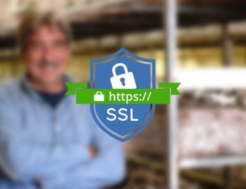 4 Razones para tener SSL en la Web de tu Negocio